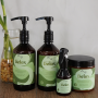 Coffret détox aux extraits de menthe, de citron et de gingembre, 500 ml